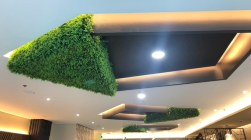 Lukfoo Restaurant-Makati (Artificial Plant)