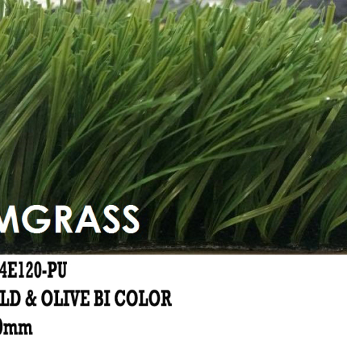 Stemgrass