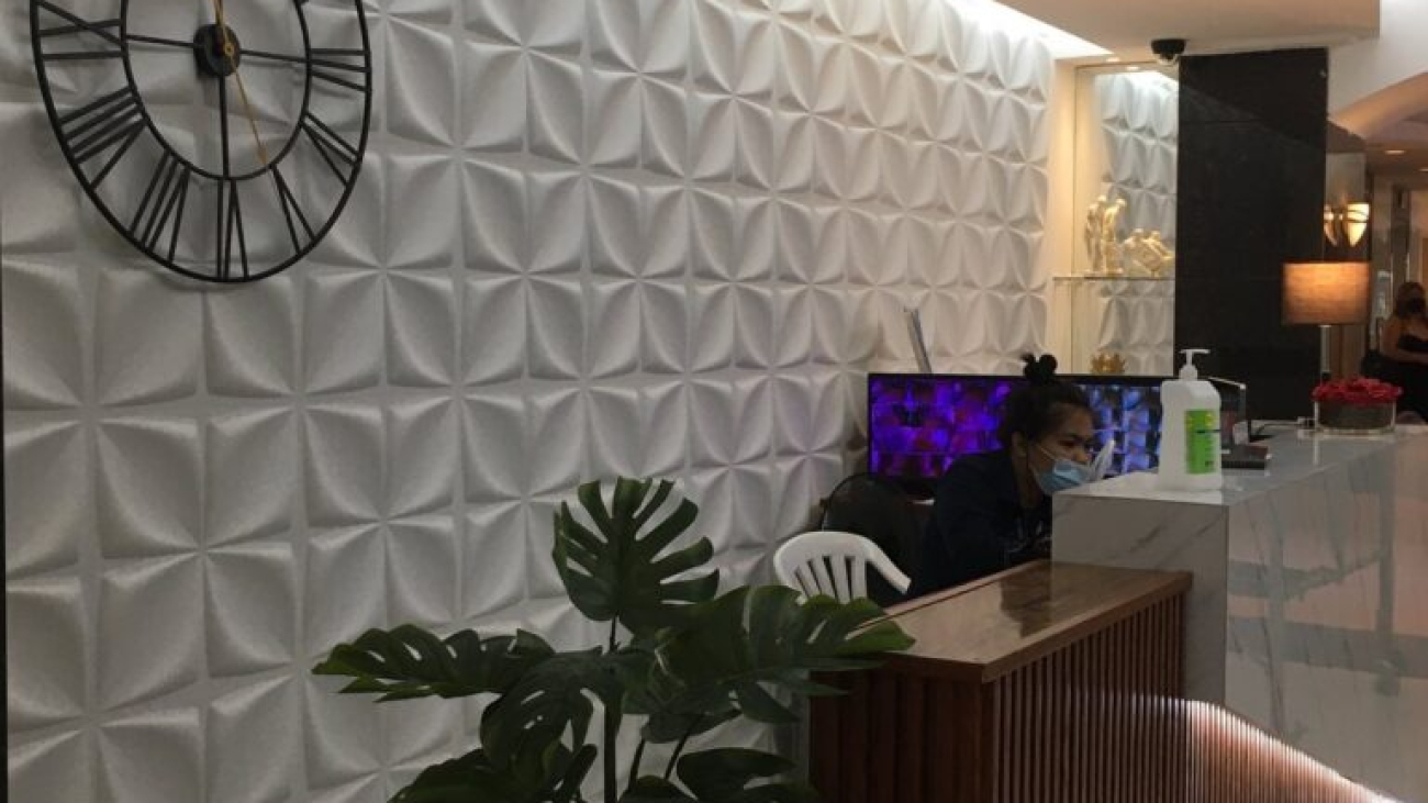 Exploring 3D Wall Panels in the Philippines Style and Sustainability