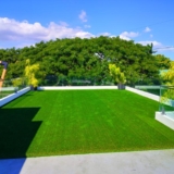 Unveiling the Best Turf Artificial Grass and Plants Supplier in the Philippines
