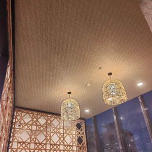 3D Wall and Ceiling Panel Supplier Philippines